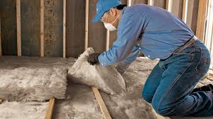 Eco-Friendly Insulation Solutions in Lauderdale Lakes, FL